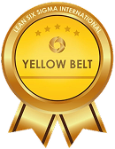 Lean Six Sigma International Yellow Belt